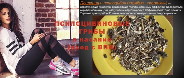 спайс Новодвинск