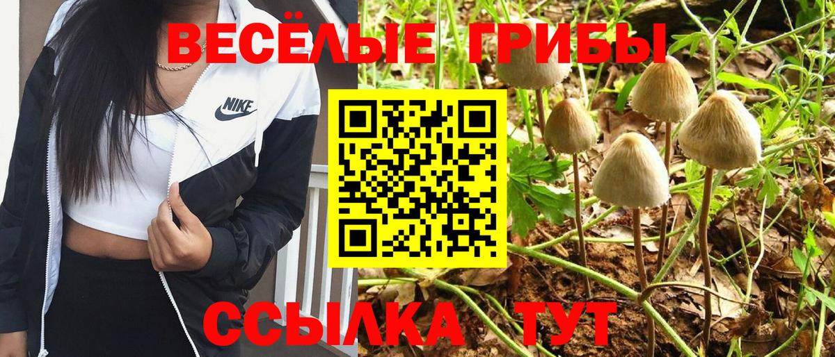 Нижнеудинск  Галлюциногенные грибы MAGIC MUSHROOMS  Галлюциногенные грибы мухоморы  Вход с VPN 