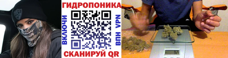 KRAKEN ССЫЛКА Нижнеудинск Каннабис SATIVA & INDICA